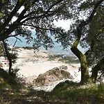 L'iris Du Commando-t2 Cosy A 100m De La